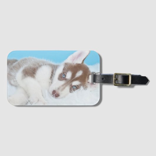 Little Husky Puppy Laying on a Blanket Bagagelabel (Voorkant (horizontaal))