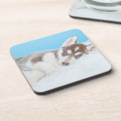 Little Husky Puppy Laying on a Blanket Bier Onderzetter (Linkerzijde)