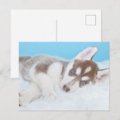 Little Husky Puppy Laying on a Blanket Briefkaart (Voorkant / Achterkant)