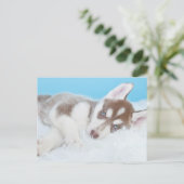 Little Husky Puppy Laying on a Blanket Briefkaart (Staand voorkant)