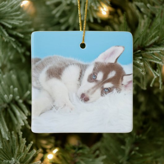 Little Husky Puppy Laying on a Blanket Keramisch Ornament (Boom)