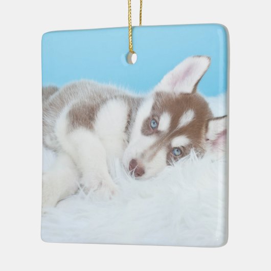 Little Husky Puppy Laying on a Blanket Keramisch Ornament (Links)
