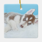 Little Husky Puppy Laying on a Blanket Keramisch Ornament (Voorkant)