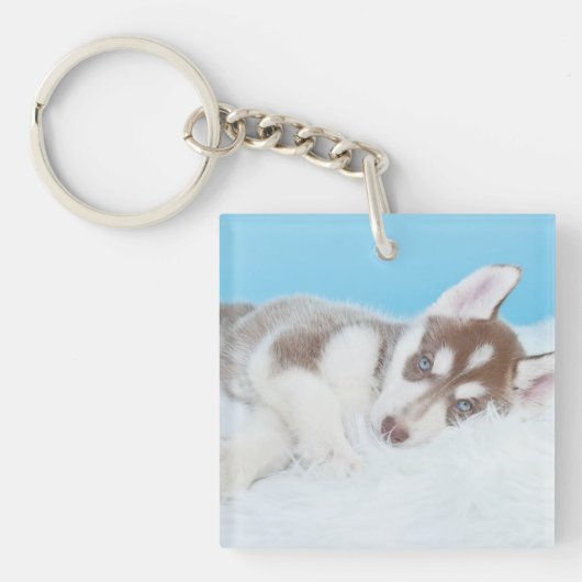 Little Husky Puppy Laying on a Blanket Sleutelhanger (Voorkant)