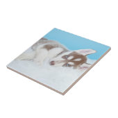 Little Husky Puppy Laying on a Blanket Tegeltje (Zijkant)