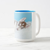 Little Husky Puppy Laying on a Blanket Tweekleurige Koffiemok (Voorkant rechts)