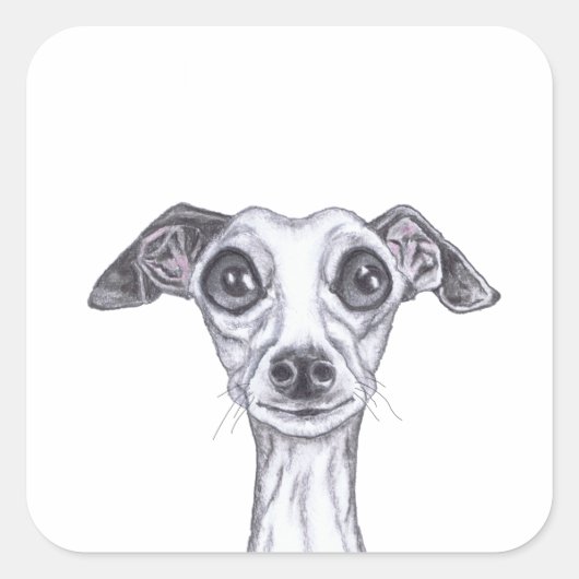 LITTLE ITALIAANS GREYHOUND g869 Vierkante Sticker (Voorkant)