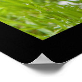 Little Jack Poster (Hoek)