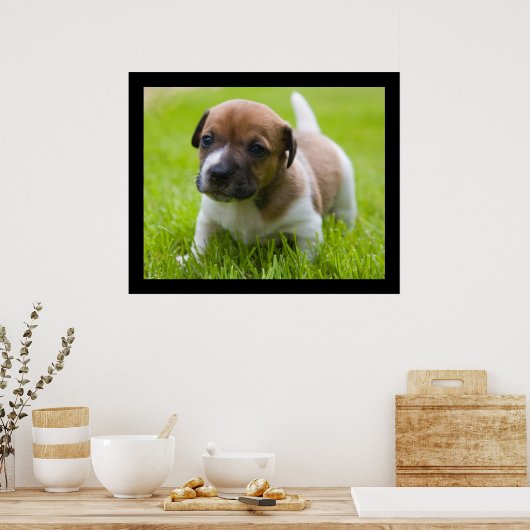 Little Jack Poster (Keuken)