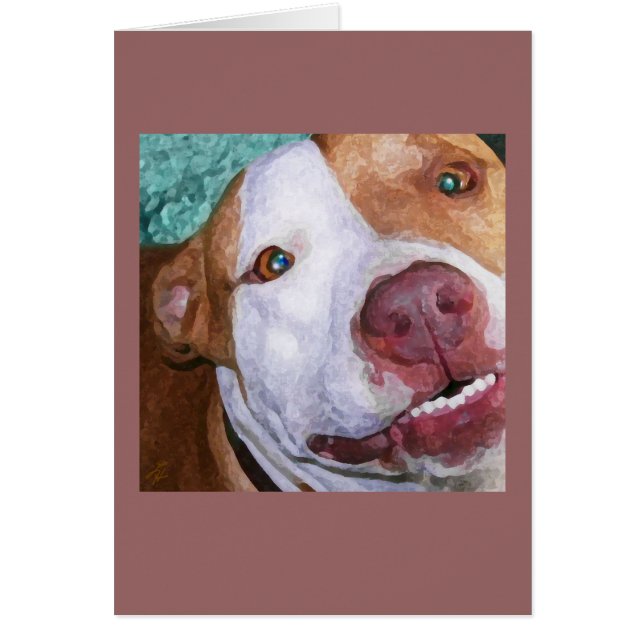 Little Johnny Sparkles (Voorkant)