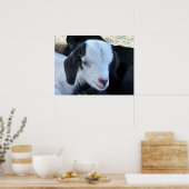 Little Kind Face Poster (Keuken)