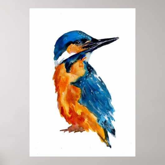 Little Kingfisher Bird Poster (Voorkant)