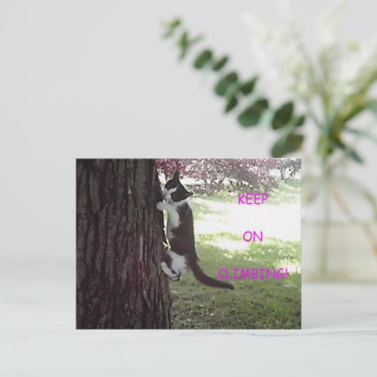 Little Kitten Big Tree Briefkaart (Staand voorkant)