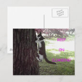 Little Kitten Big Tree Briefkaart (Voorkant / Achterkant)