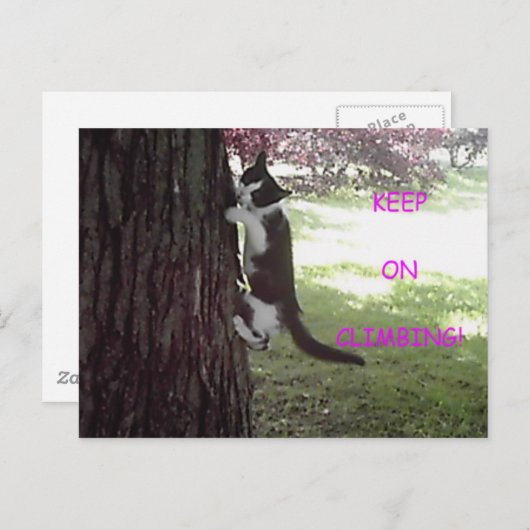 Little Kitten Big Tree Briefkaart (Voorkant / Achterkant)