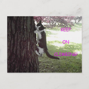 Little Kitten Big Tree Briefkaart