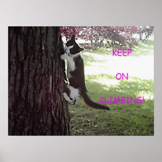 Little Kitten Big Tree-Poster Poster (Voorkant)