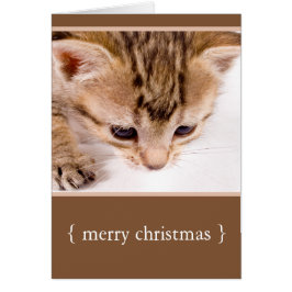 Little Kitten Cat Merry kerstfeestay Kaart