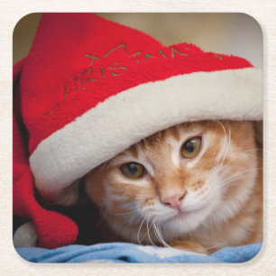 Little Kitten in Red kerstPet Kartonnen Onderzetters