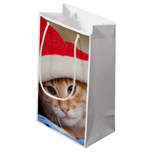 Little Kitten in Red kerstPet Klein Cadeauzakje (Achterkant Gekanteld)