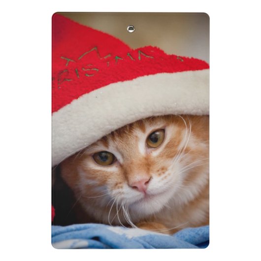 Little Kitten in Red kerstPet Mini Klembord (Achterkant)