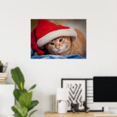 Little Kitten in Red kerstPet Poster (Thuiskantoor)