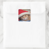 Little Kitten in Red kerstPet Vierkante Sticker (Tas)