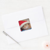 Little Kitten in Red kerstPet Vierkante Sticker (Envelop)