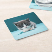 Little Kitten Kartonnen Onderzetters (Schuin)