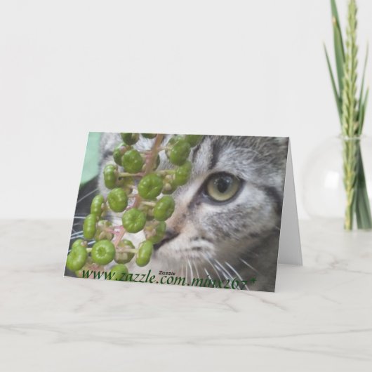 Little Kitten Multi-Purpose Kaart (Achterkant)