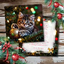 Little Kitten on Christmas Tree Personalized Feestdagenkaart