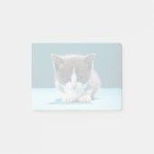 Little Kitten Post-it® Notes (Voorkant)