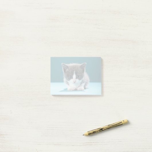 Little Kitten Post-it® Notes (Op bureau)