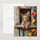 Little Kitten Sleeping in Garden Shed with Bloomin Briefkaart (Voorkant / Achterkant)