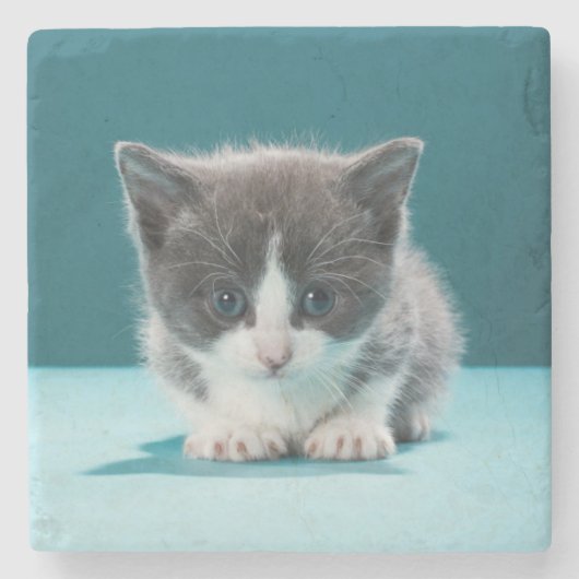 Little Kitten Stenen Onderzetter (Voorkant)