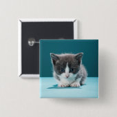 Little Kitten Vierkante Button 5,1 Cm (Voorkant /achterkant)