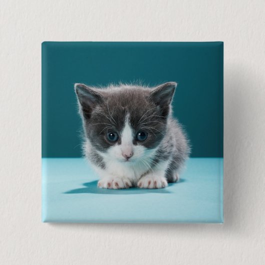 Little Kitten Vierkante Button 5,1 Cm (Voorkant)