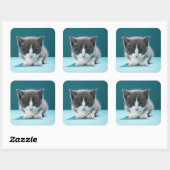 Little Kitten Vierkante Sticker (Vel)