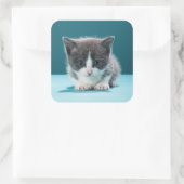 Little Kitten Vierkante Sticker (Tas)
