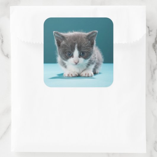 Little Kitten Vierkante Sticker (Tas)