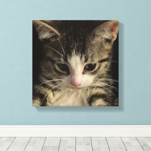 Little kitty canvas afdruk (Insitu (Houten vloer))