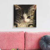 Little kitty canvas afdruk (Insitu (Woonkamer))