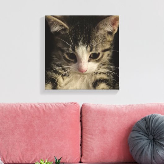 Little kitty canvas afdruk (Insitu (Woonkamer))