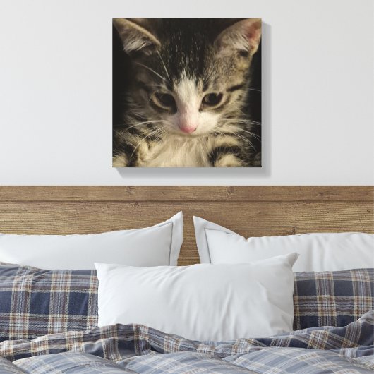 Little kitty canvas afdruk (Insitu (Slaapkamer))