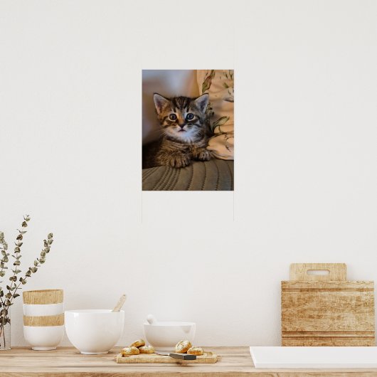 Little kitty poster (Keuken)