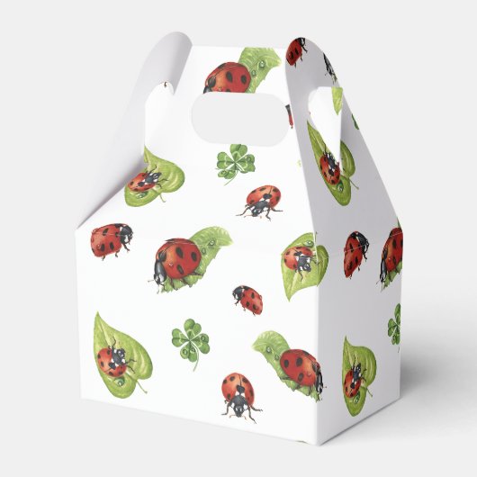 Little Lady Ladybug Birthday Party, elke leeftijd Bedankdoosjes (Achterkant)