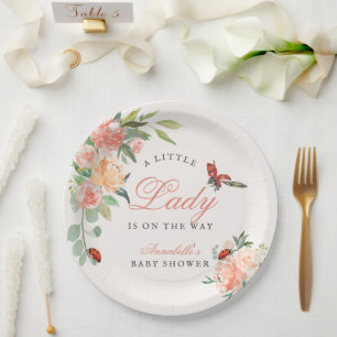 Little Lady Lieveheersbeestje Rozen Meisje Baby Sh Papieren Bordje