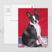 Little Lady Lola bug Briefkaart (Voorkant / Achterkant)