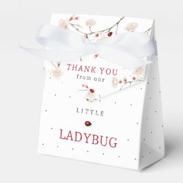 Little Ladybug Baby shower Bedankdoosjes