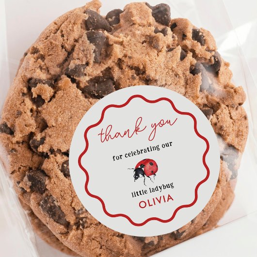 Little Ladybug Birthday Party Bedankt Ronde Sticker